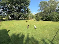 Off-leash dog park on site