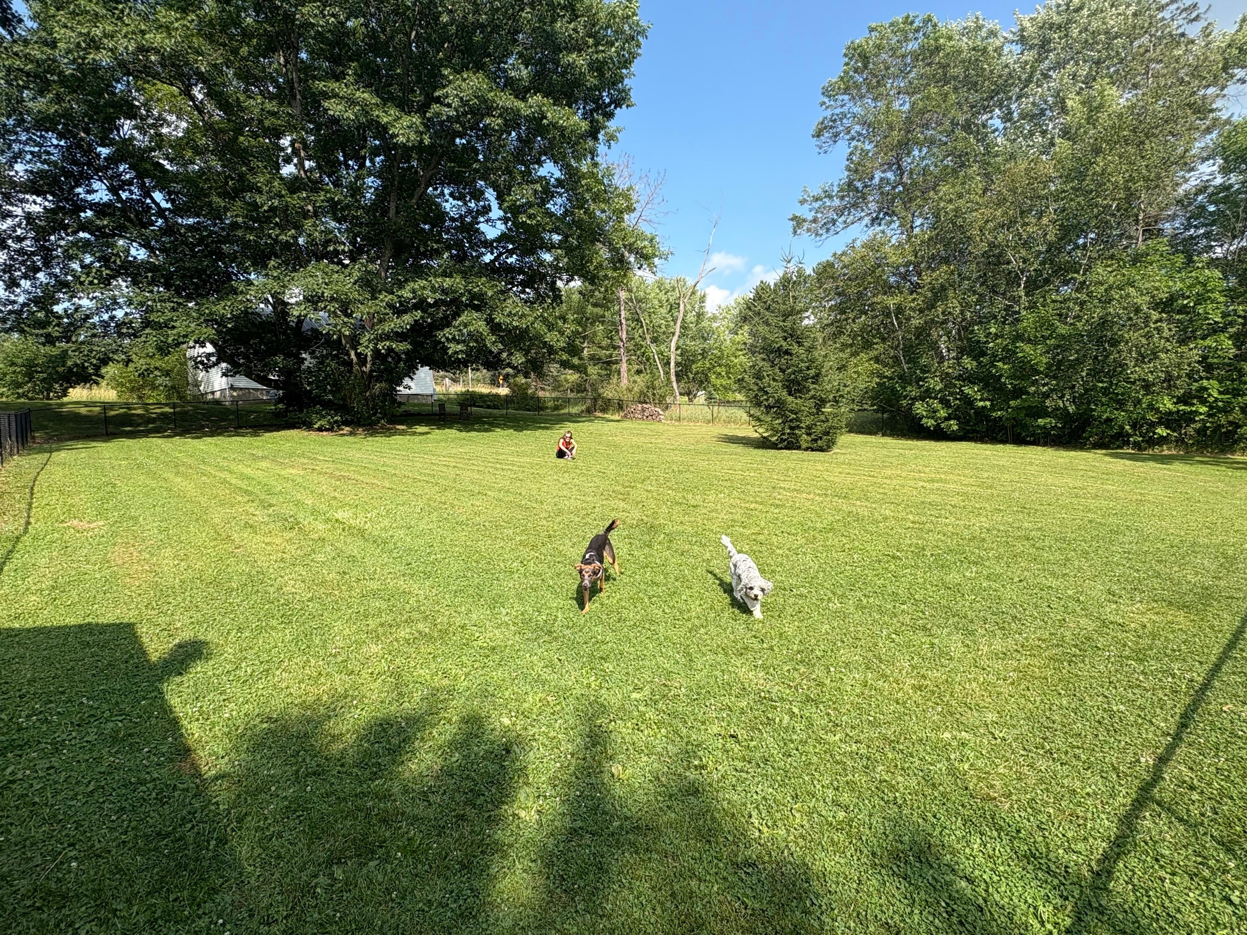 Off-leash dog park on site
