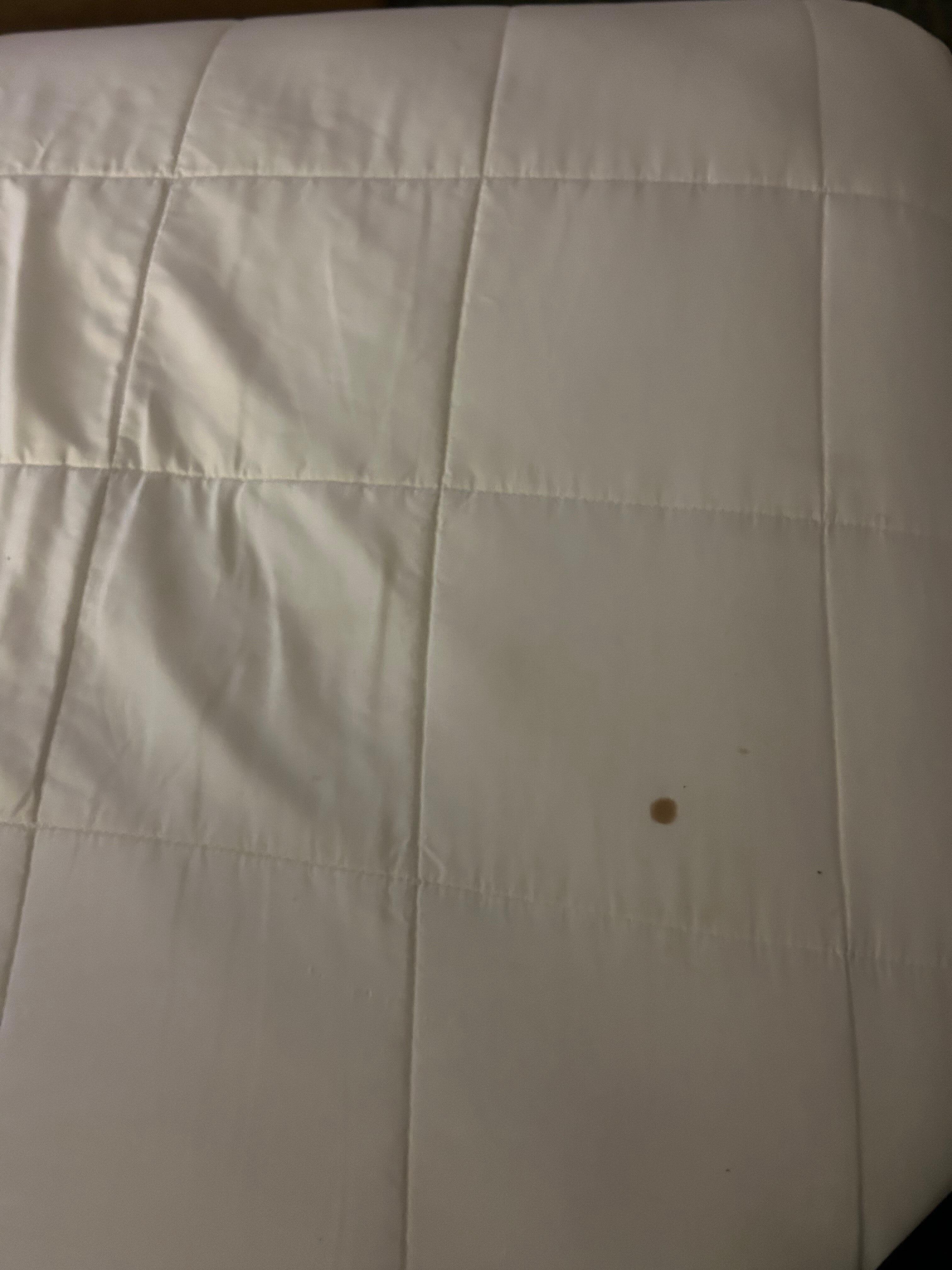 Bed Sheets already had stains on it when we got there 
