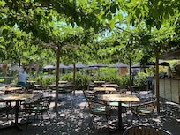 Nice swimming pool coffee with shades