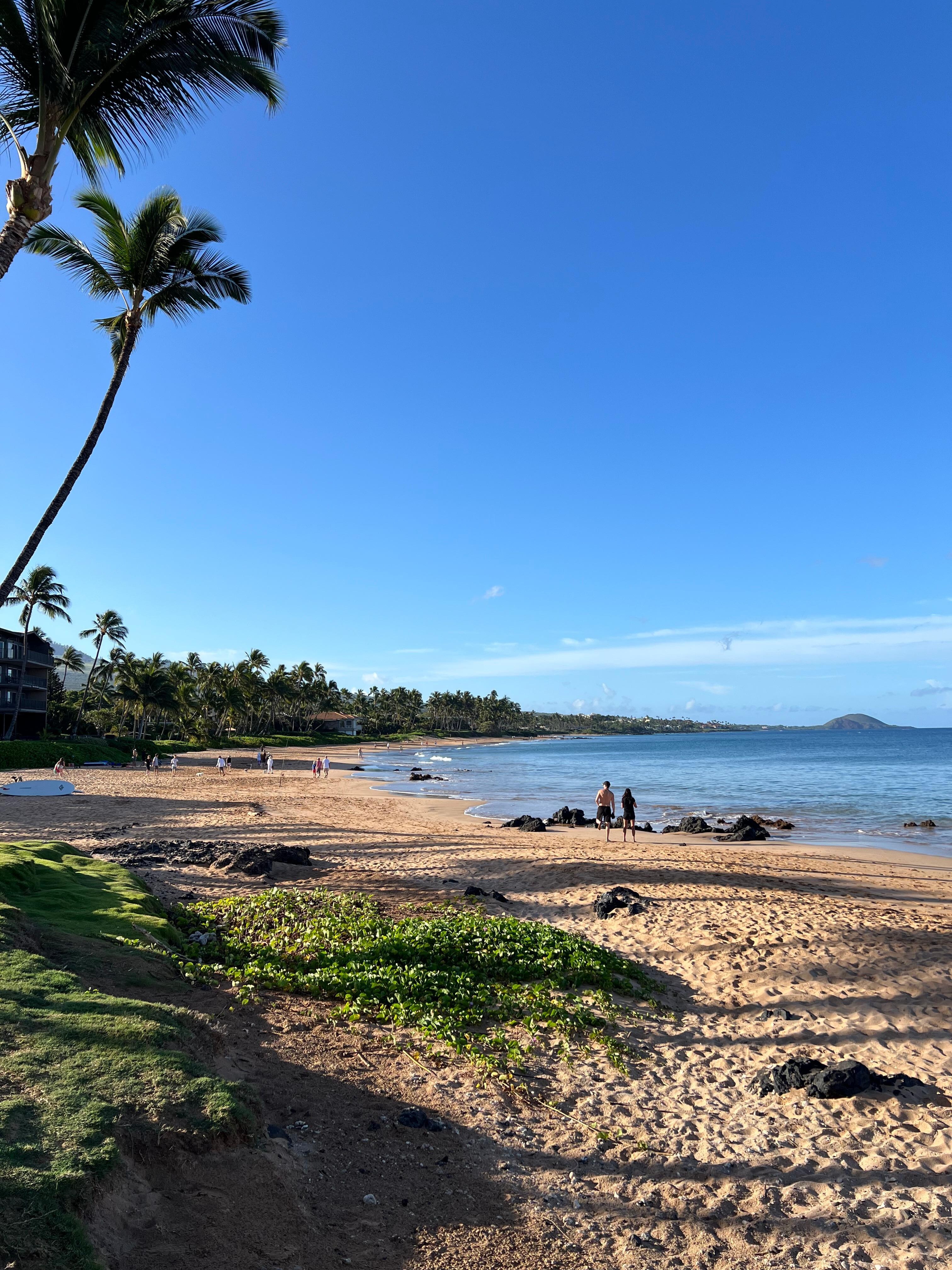 Beach that is steps away from the property