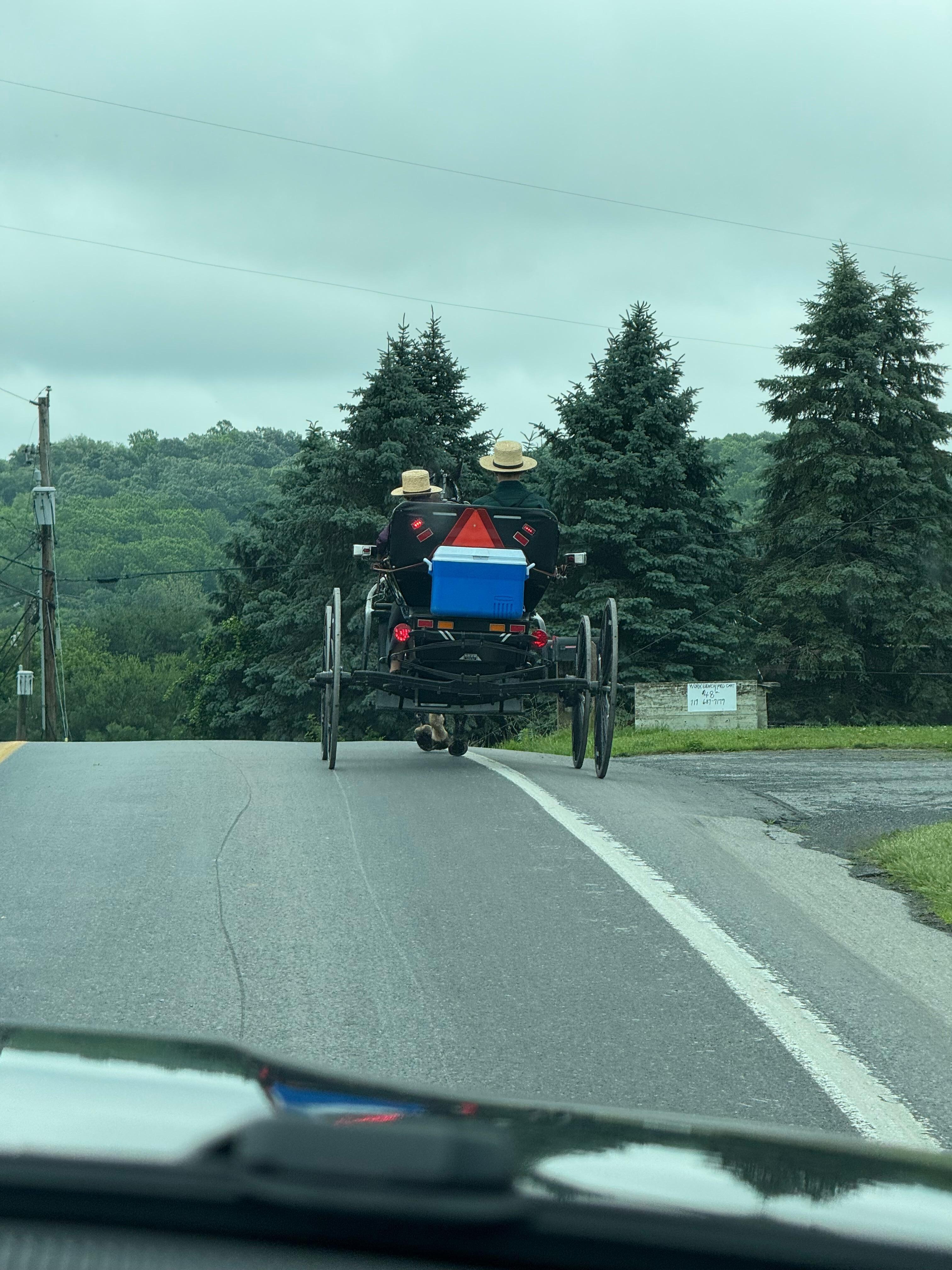 Nearby rode