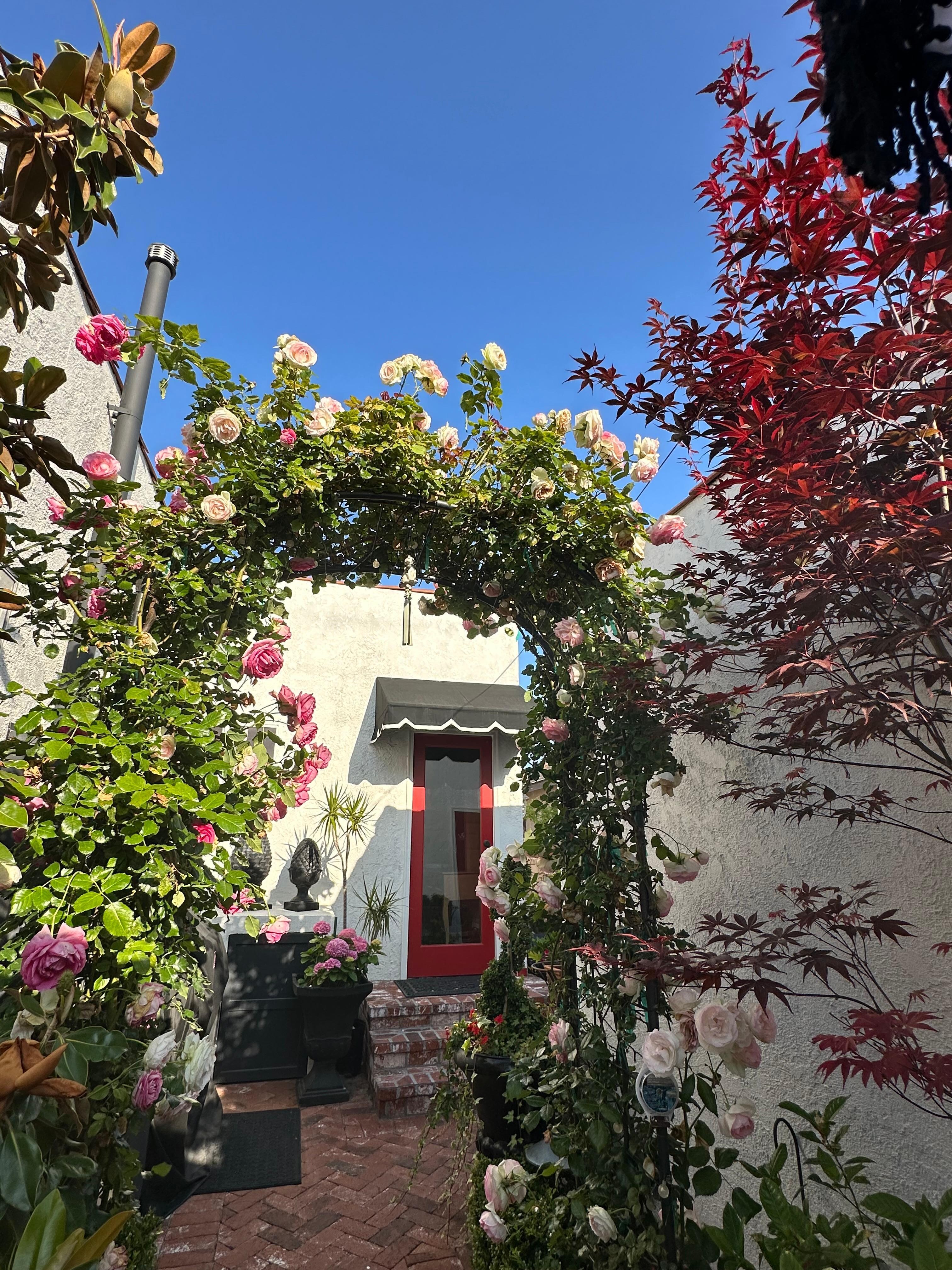 Stunning rose archway and garden, back entry