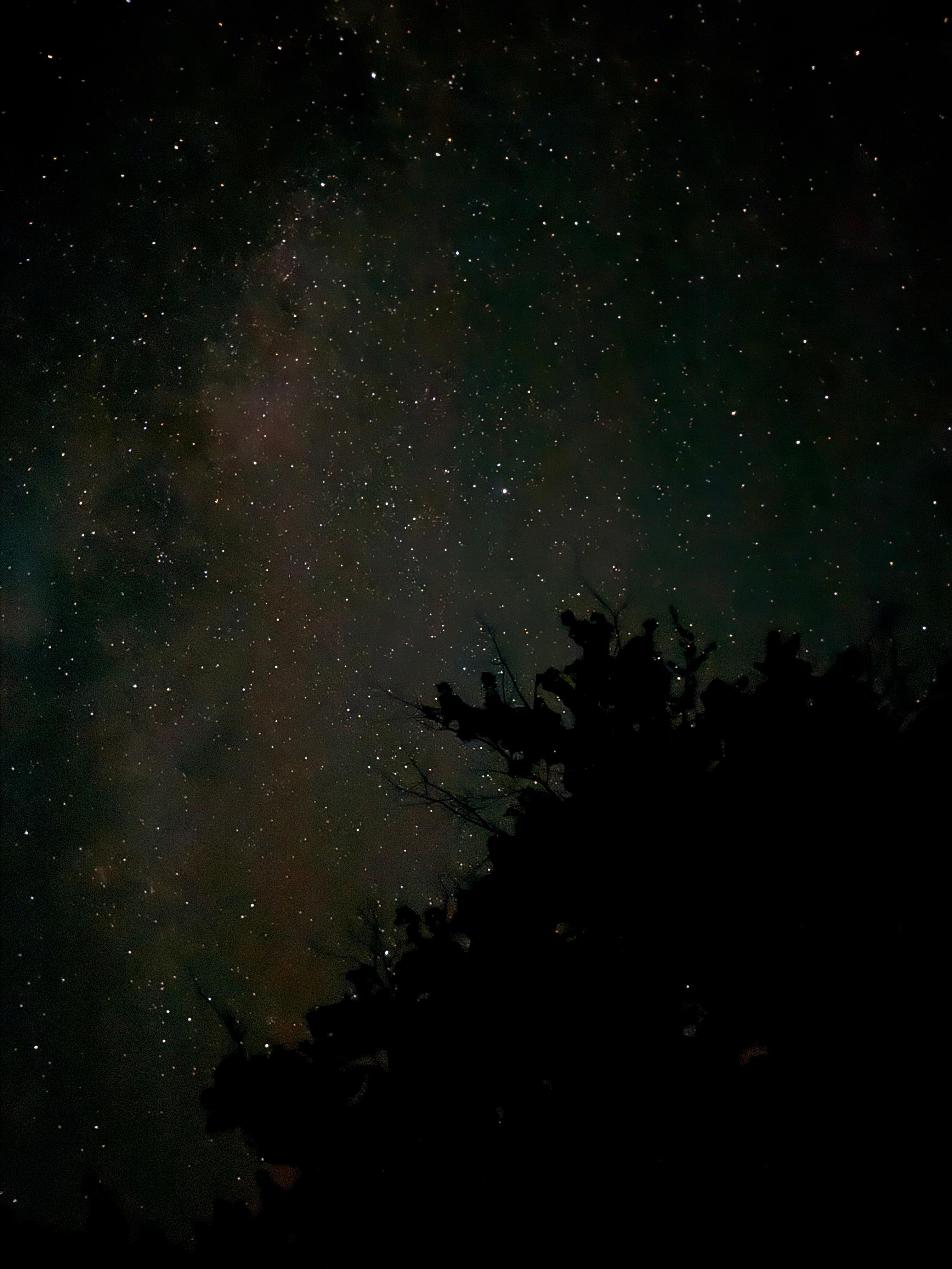 Stars in the back yard