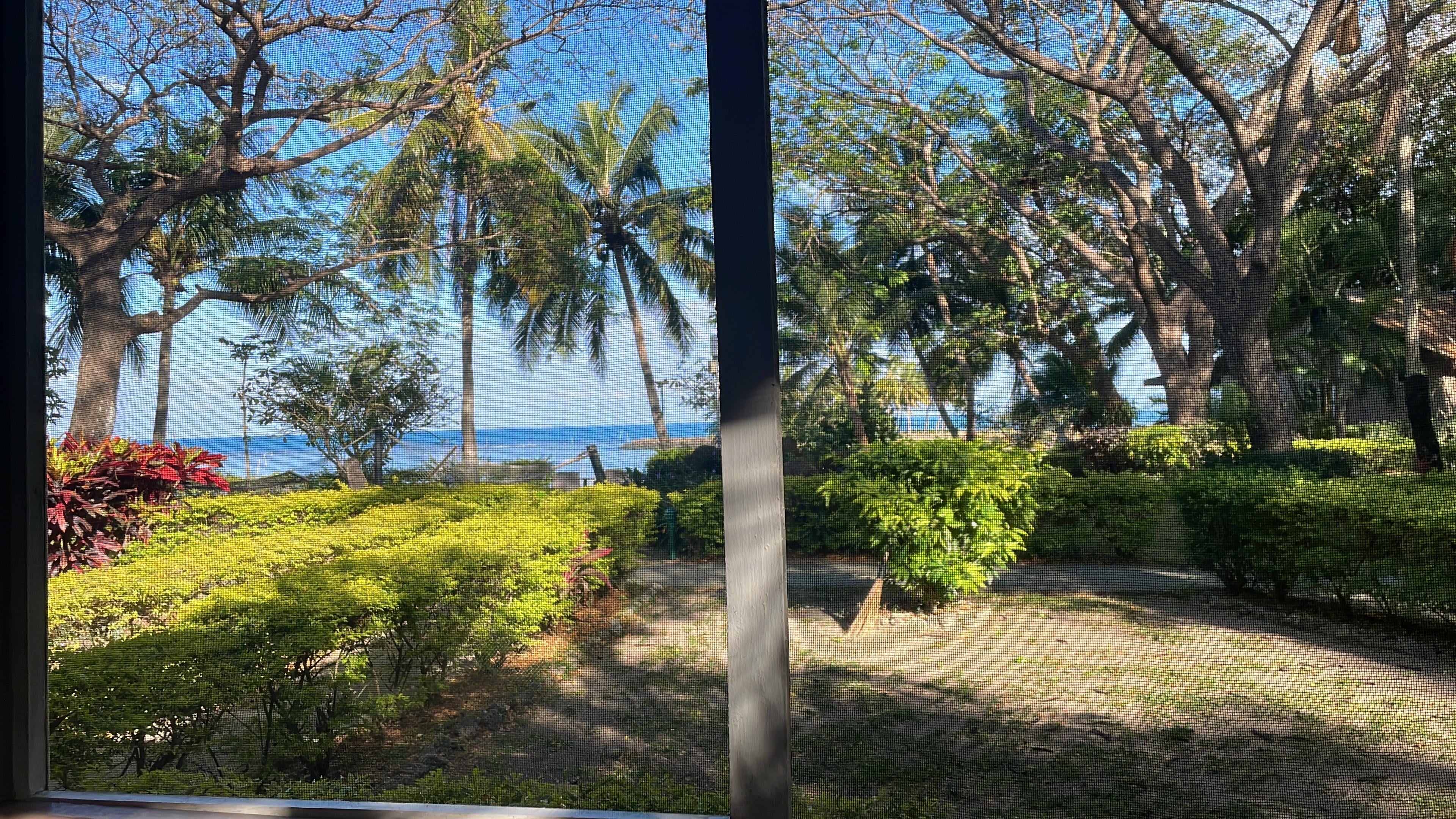 View from an Ocean Bure