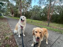 On the path across the road from the house that takes you past the national park.