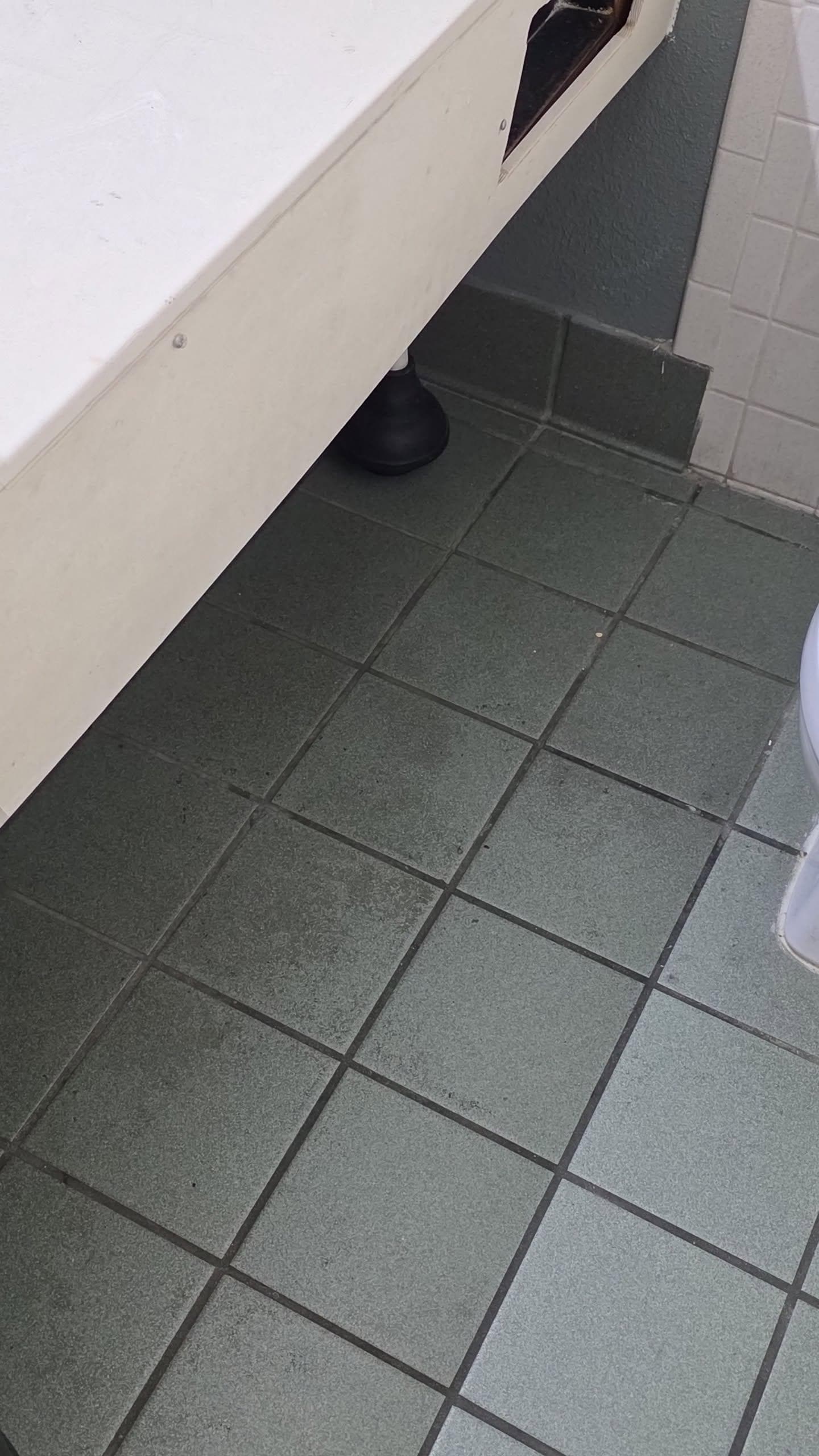 Drug paraphernalia in the bathroom trash. 