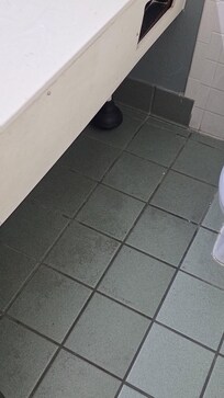 Drug paraphernalia in the bathroom trash.