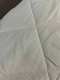 Hair on mattress cover.