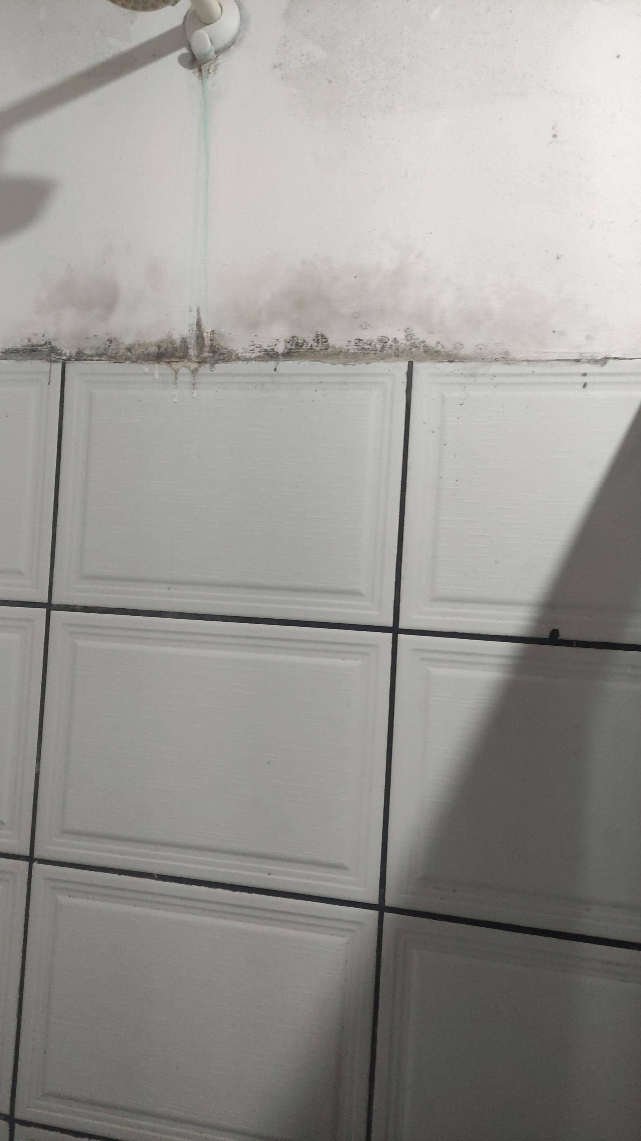 Mofado cheiro muito forte,um horror 