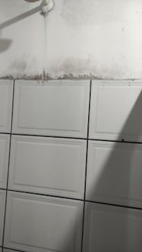 Mofado cheiro muito forte,um horror