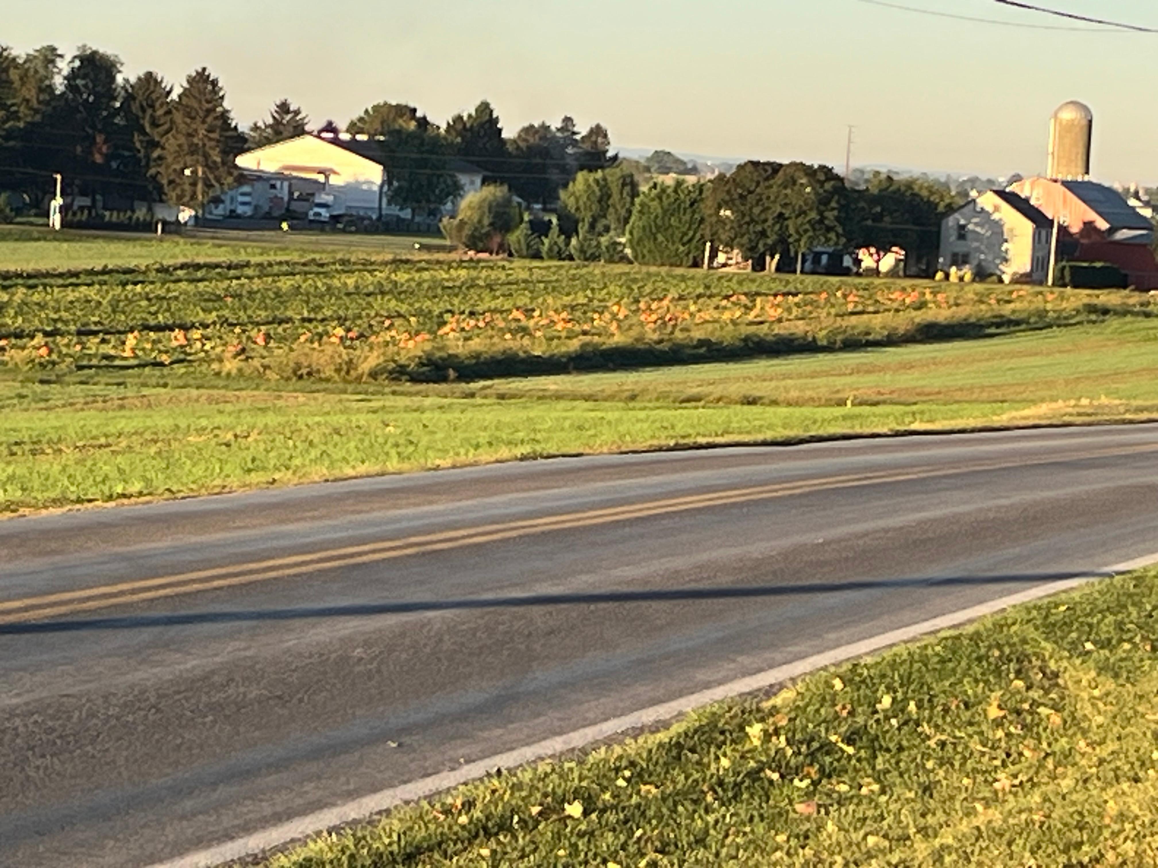 Farm across the street
