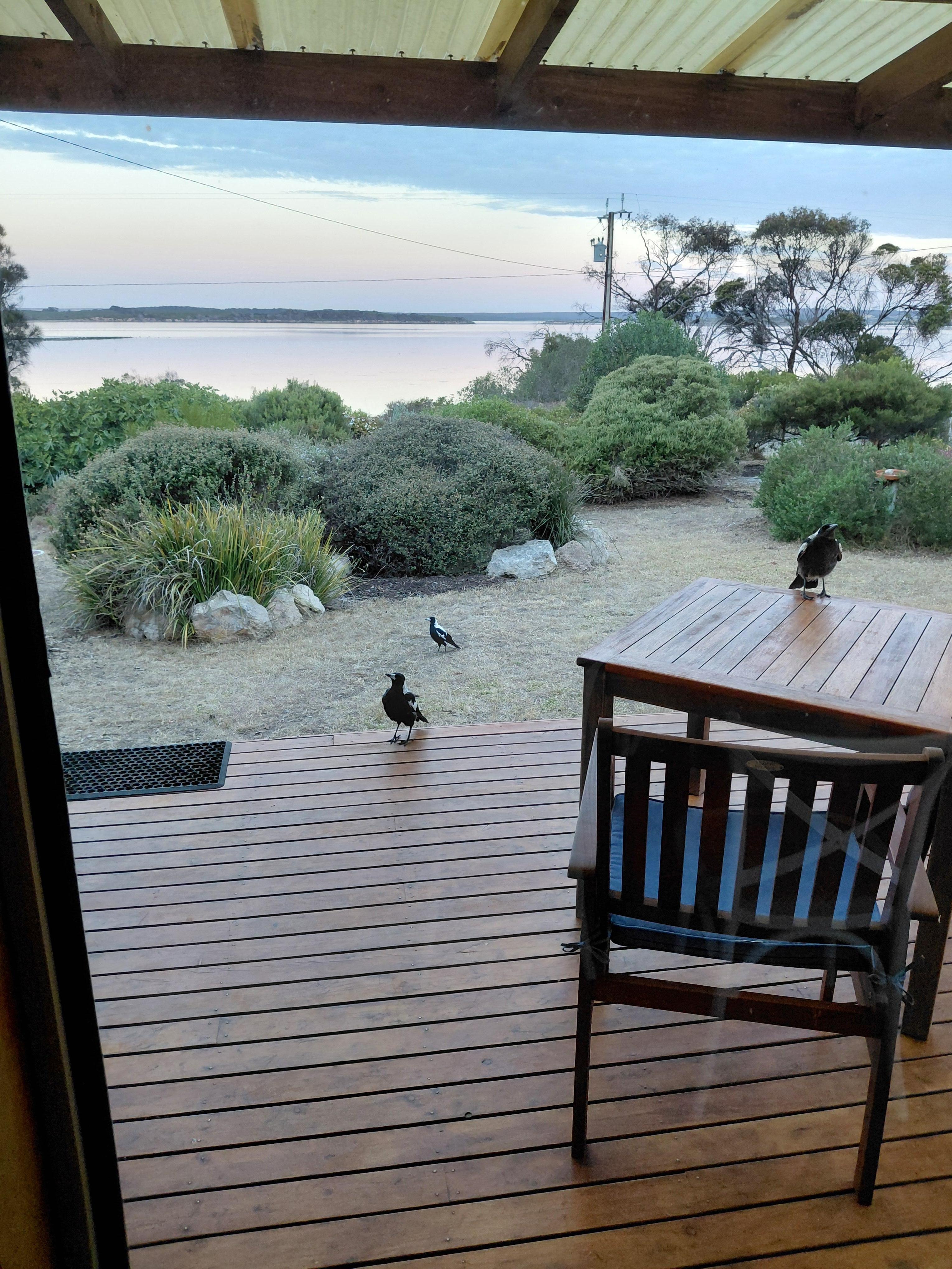 Sunset with friends on the front verandah