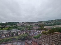 The view