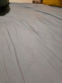 The sheets were dirty apparently from a squatter sleeping in it.