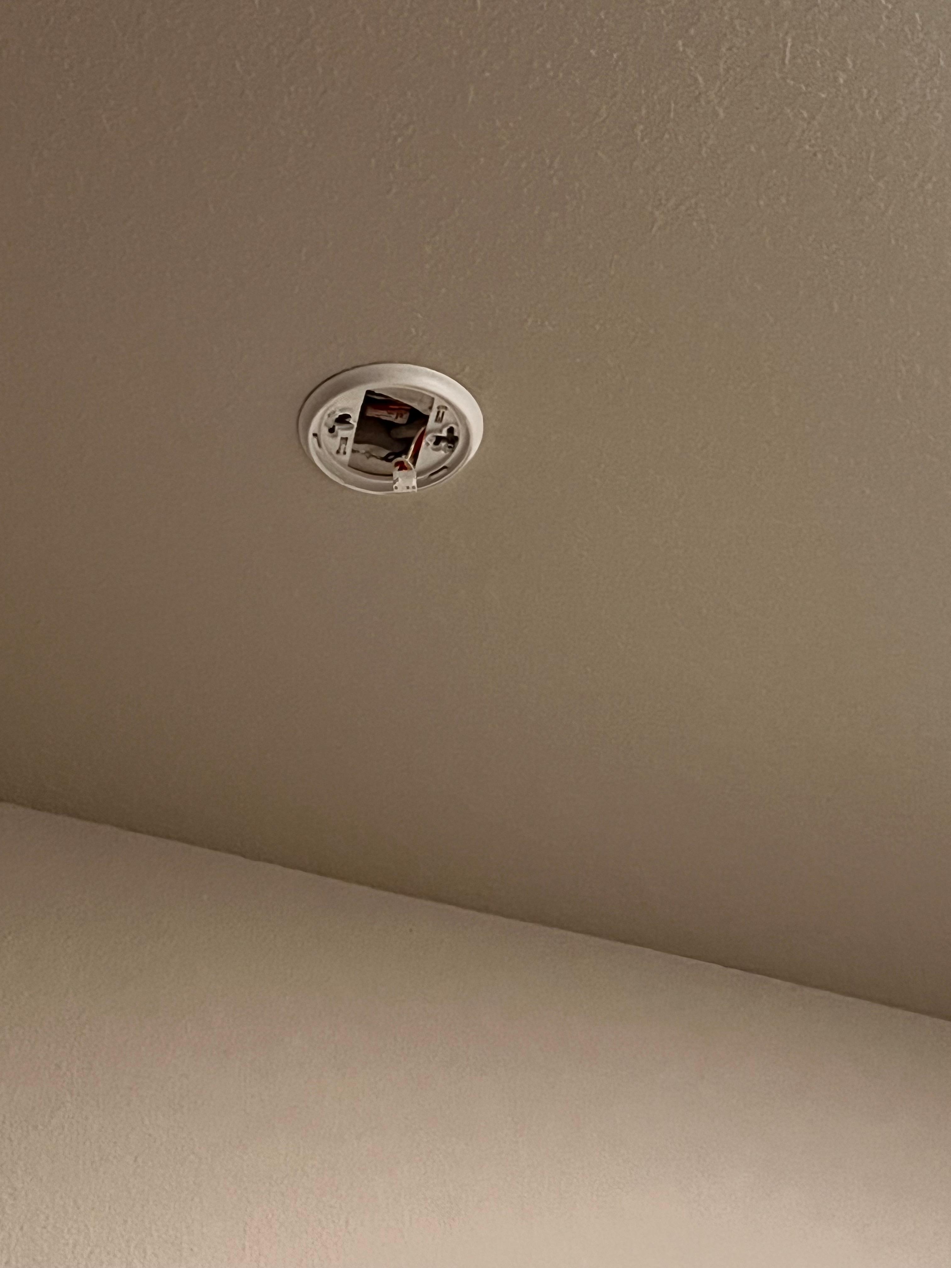 Missing from upstairs 