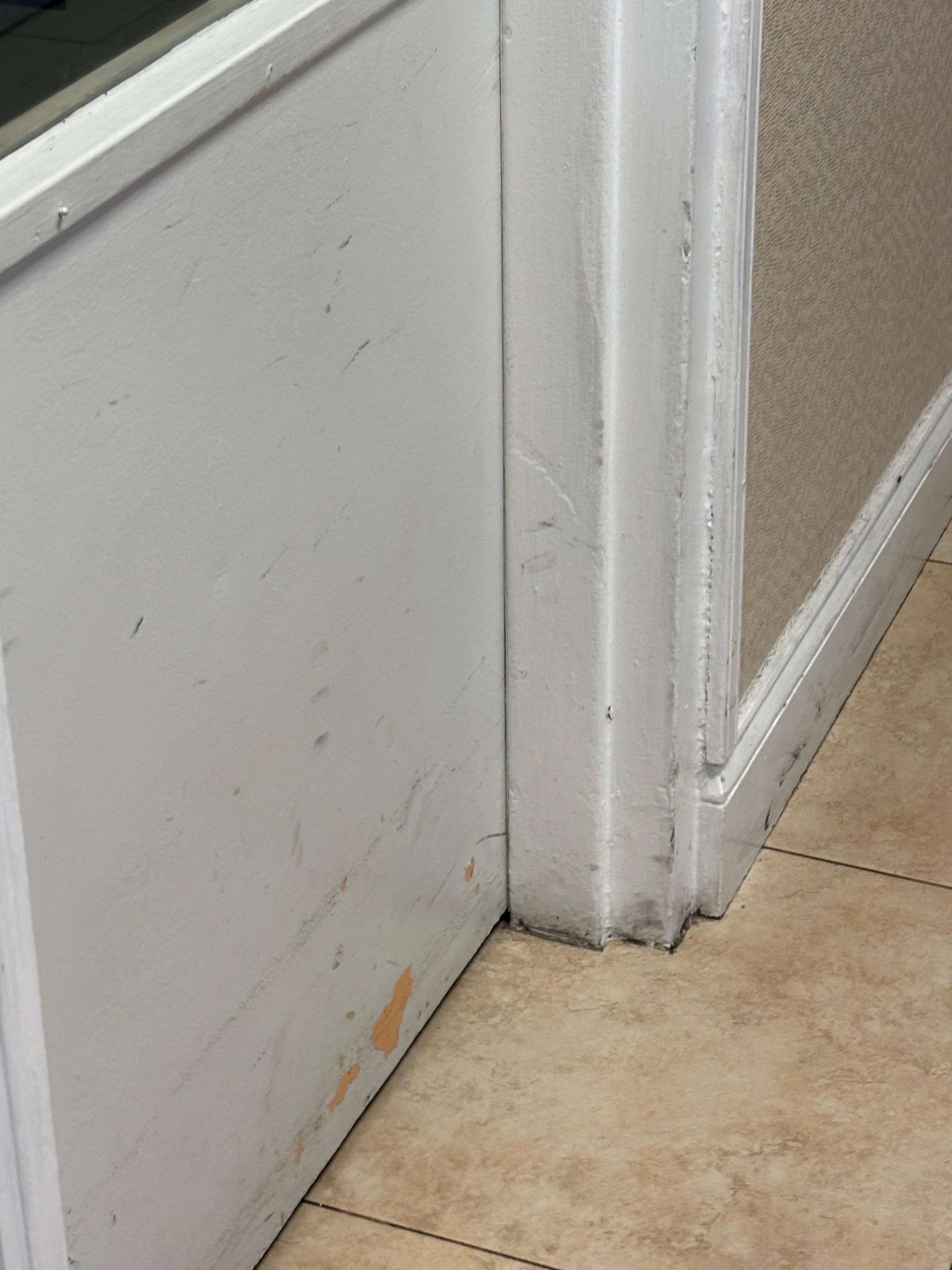 Dirty, disgusting walls and floors