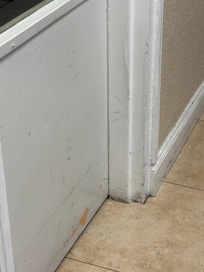 Dirty, disgusting walls and  floors