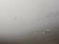 Stains/spots/mold on the ceiling