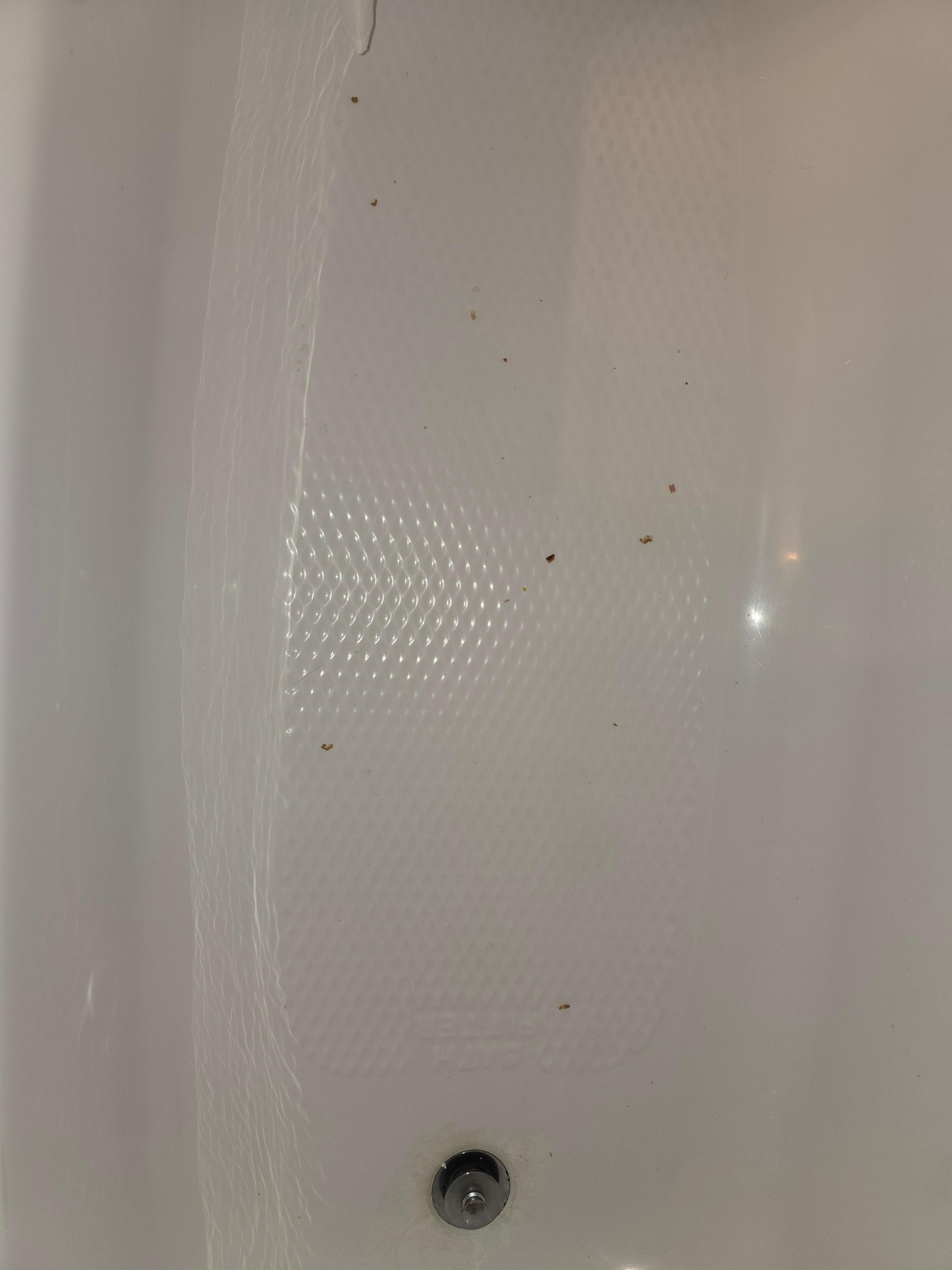 Bath tub not cleaned