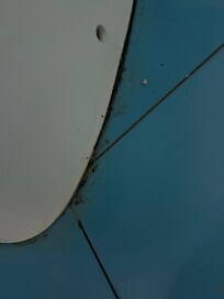 The mold all around