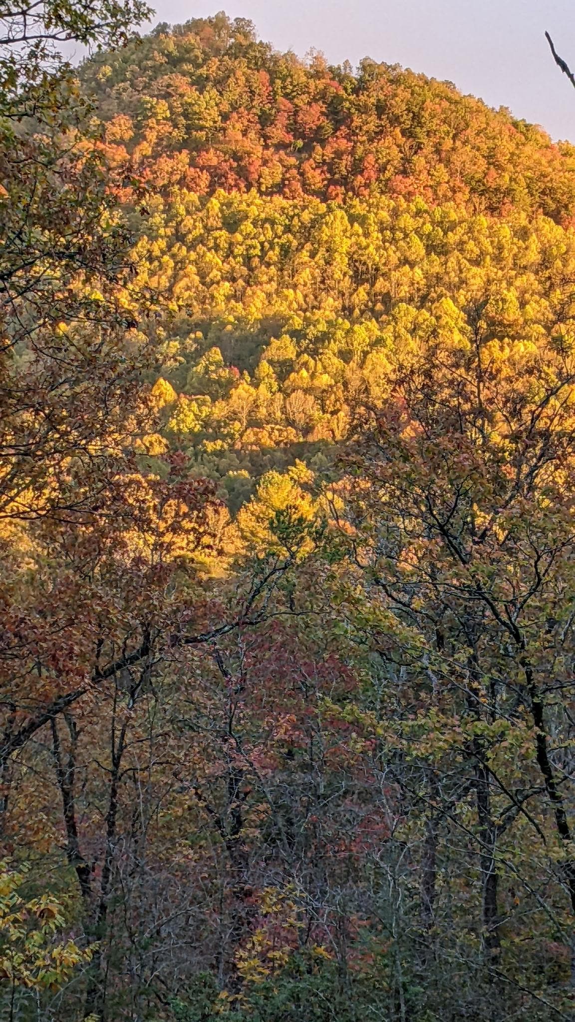 Our view from the front door