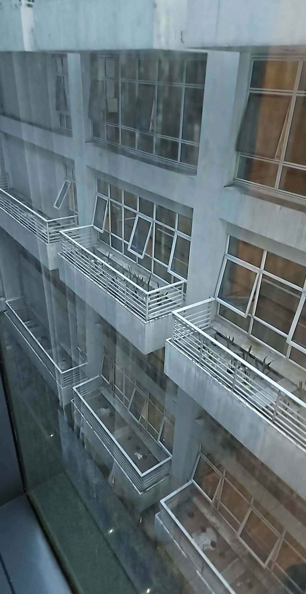 View from the windows of standard room 