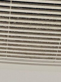 This was the dust accumulation on the bathroom fan