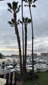 Beautiful view of the marina from the deluxe king room.