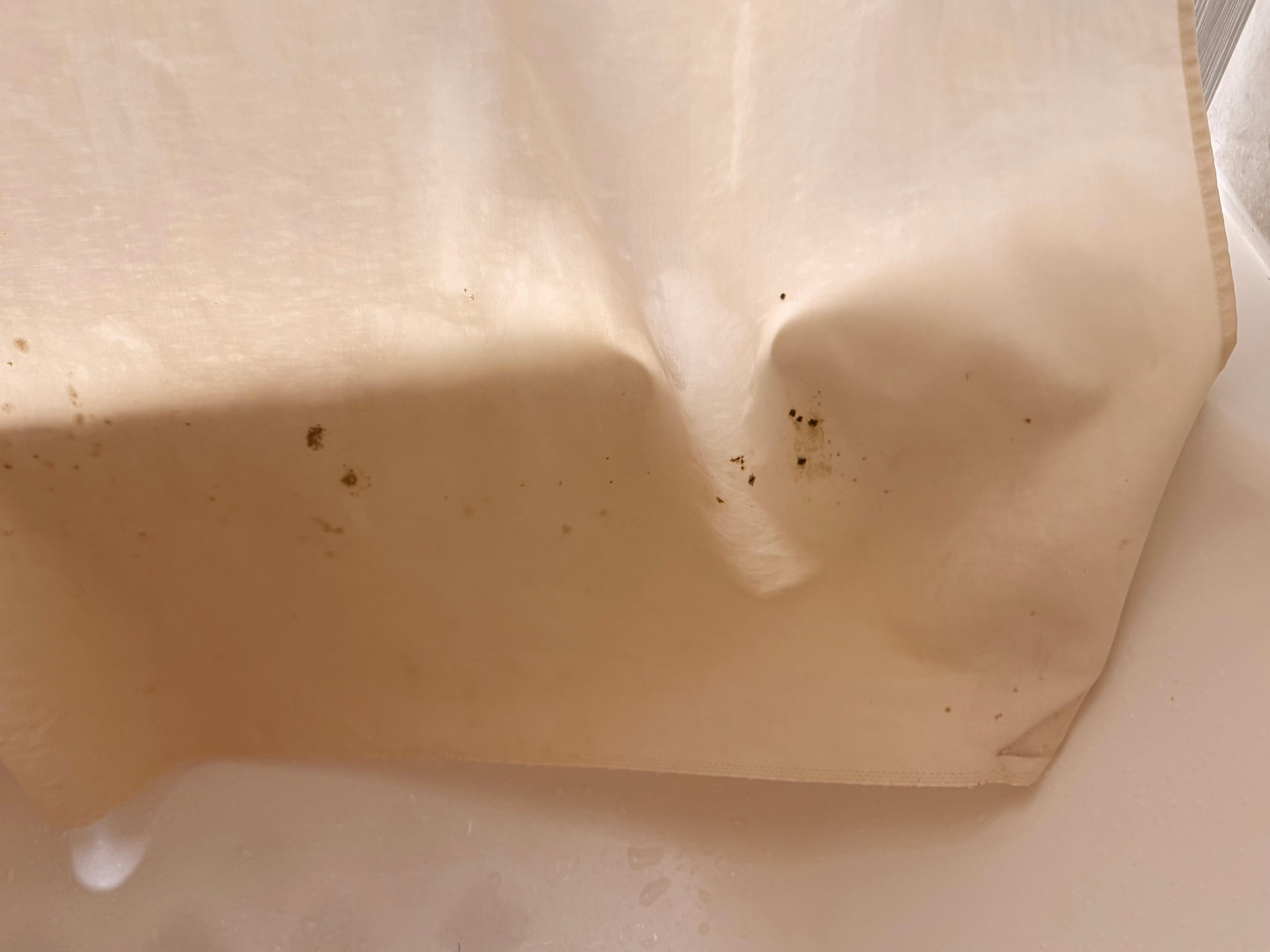 Mold on shower curtain