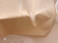 Mold on shower curtain