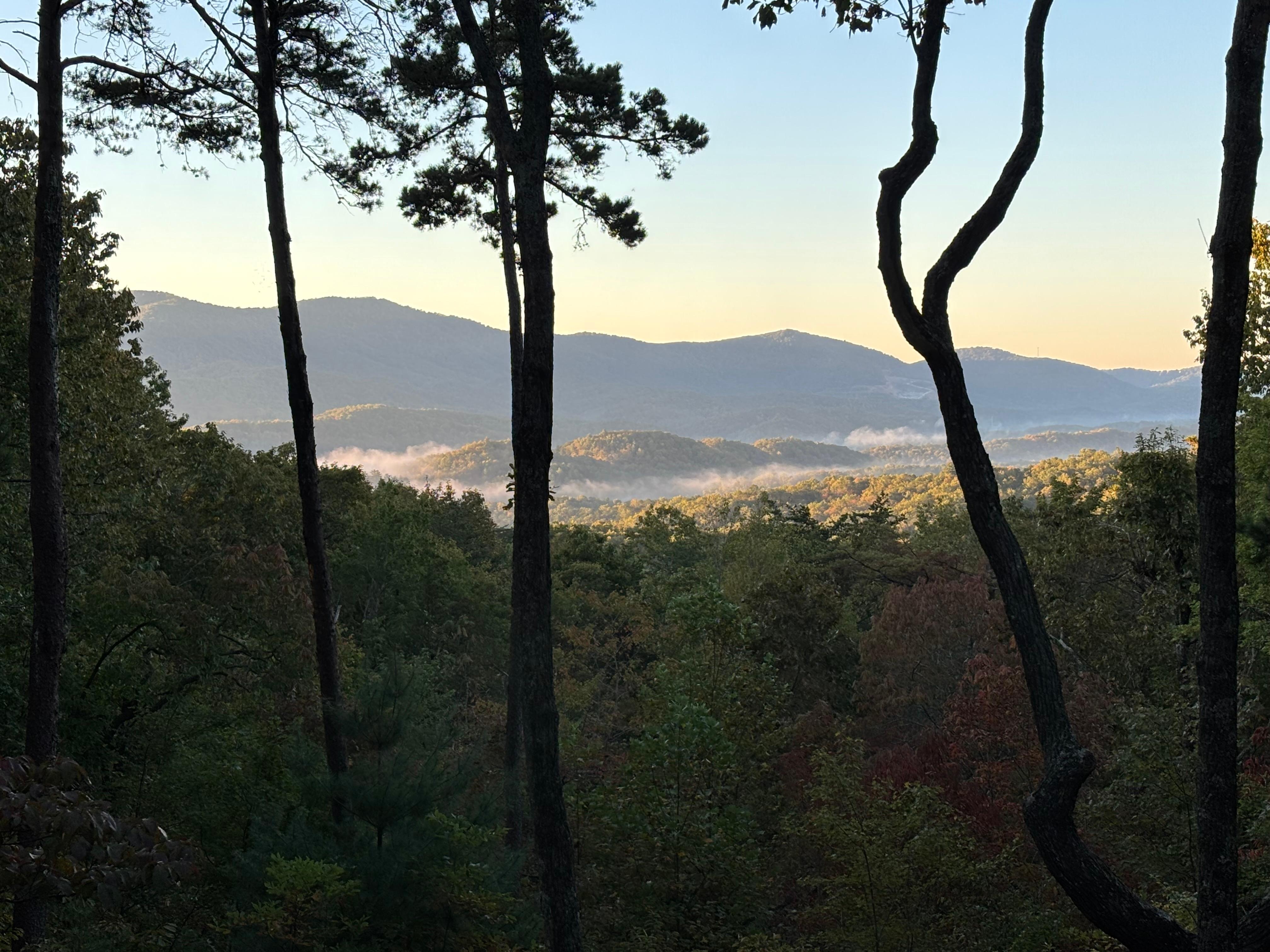 Early morning sunrise.