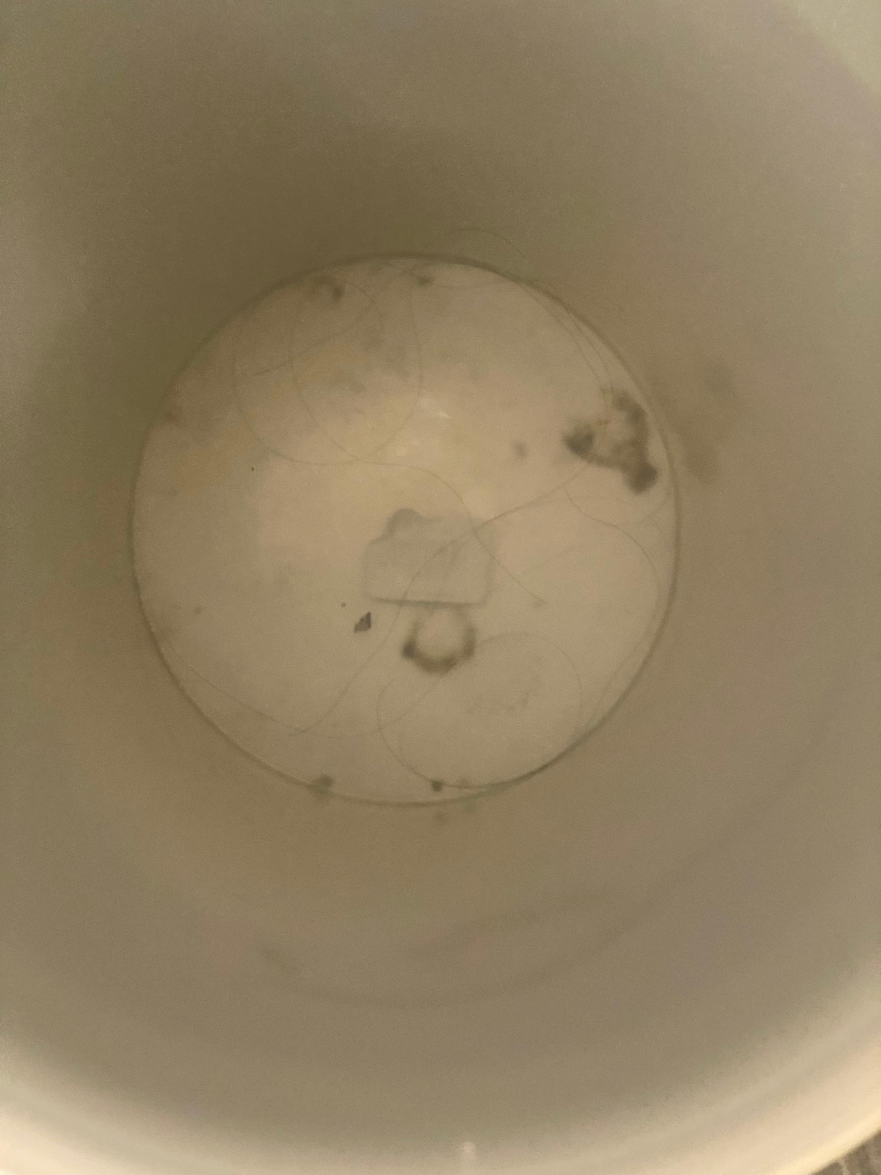 Trash can with hair and other debris.