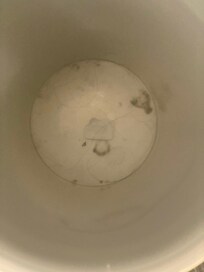 Trash can with hair and other debris.