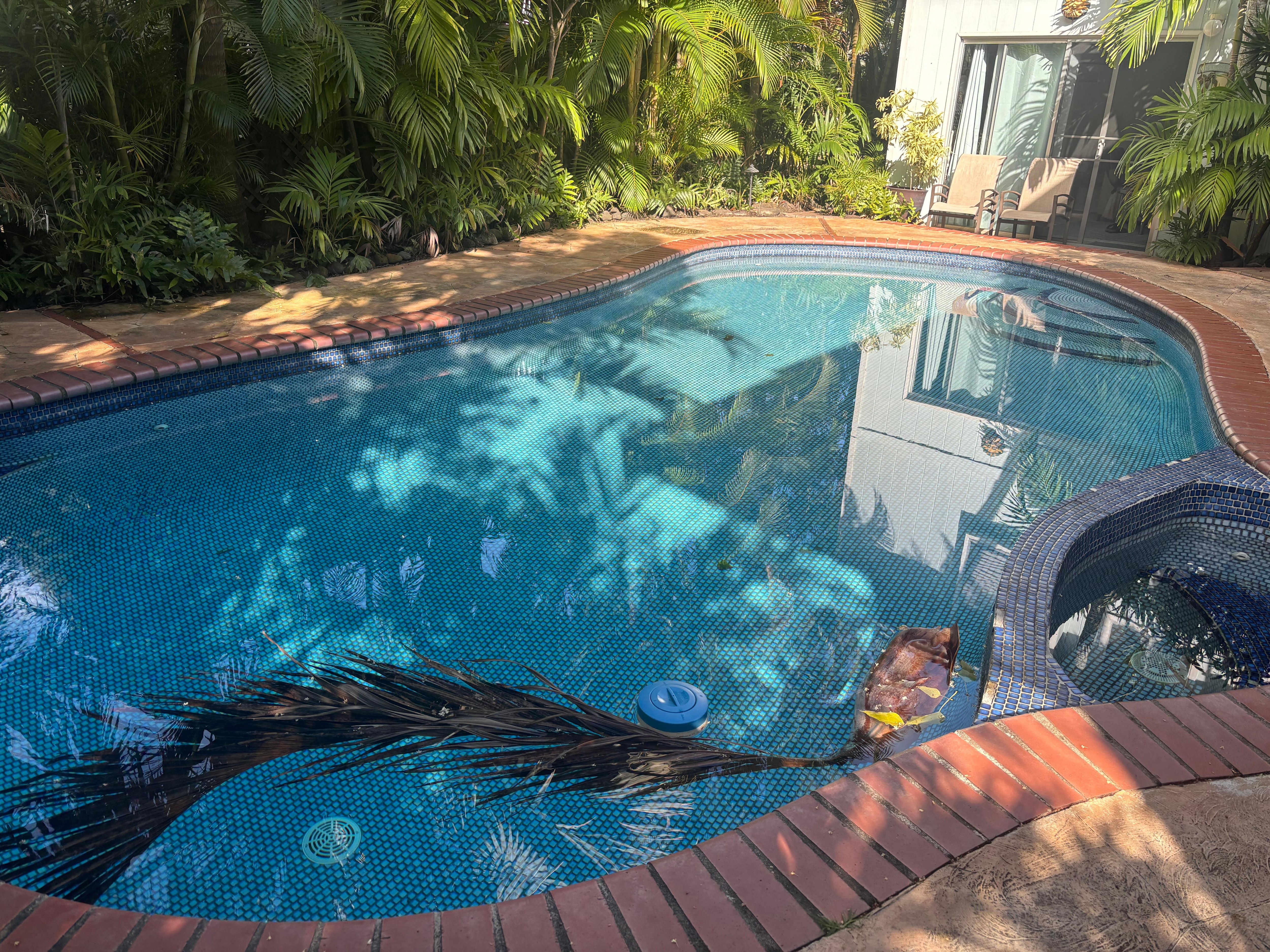 Pool wenig einladend 