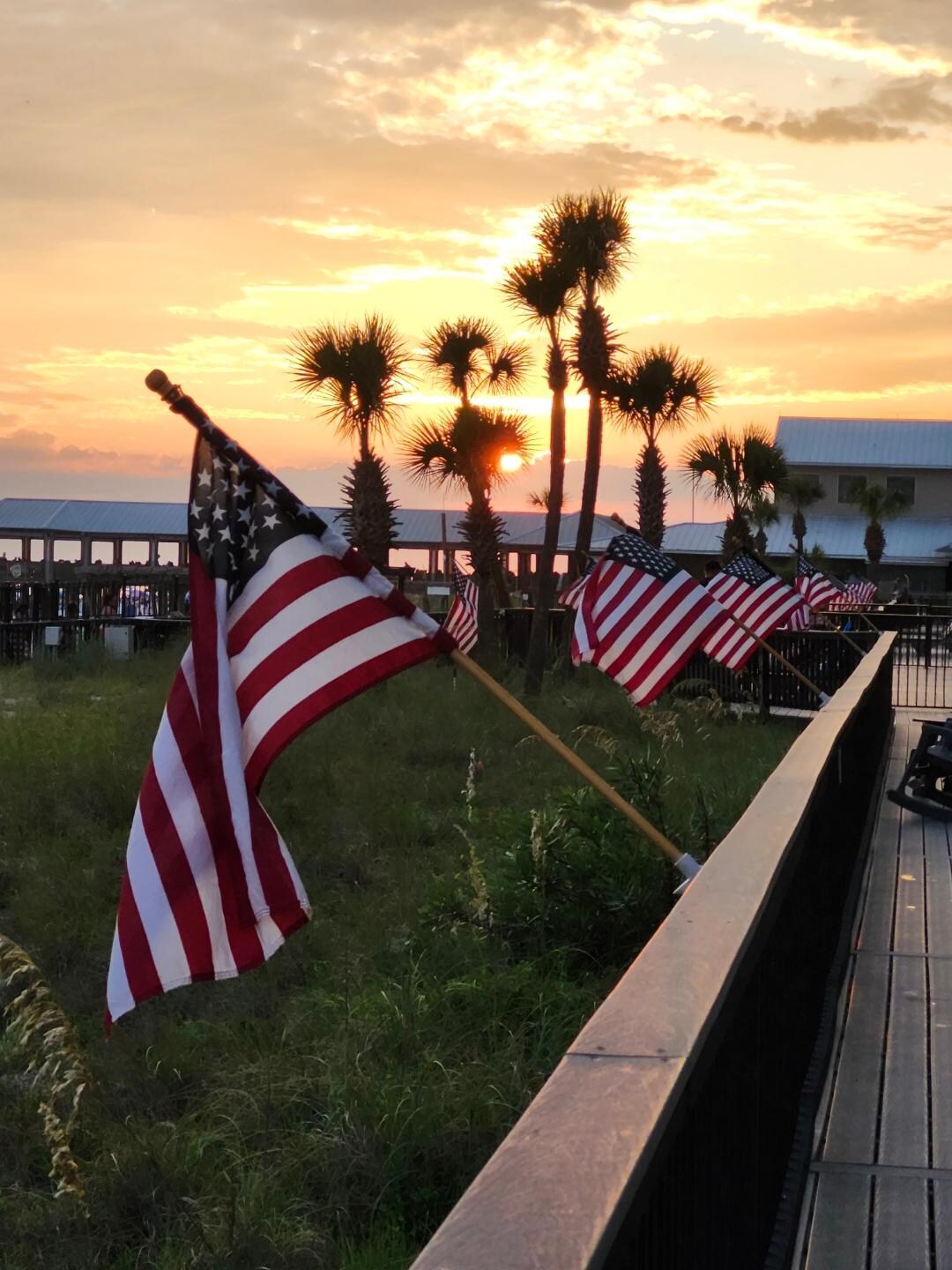Flags out to celebrate our country's independence 