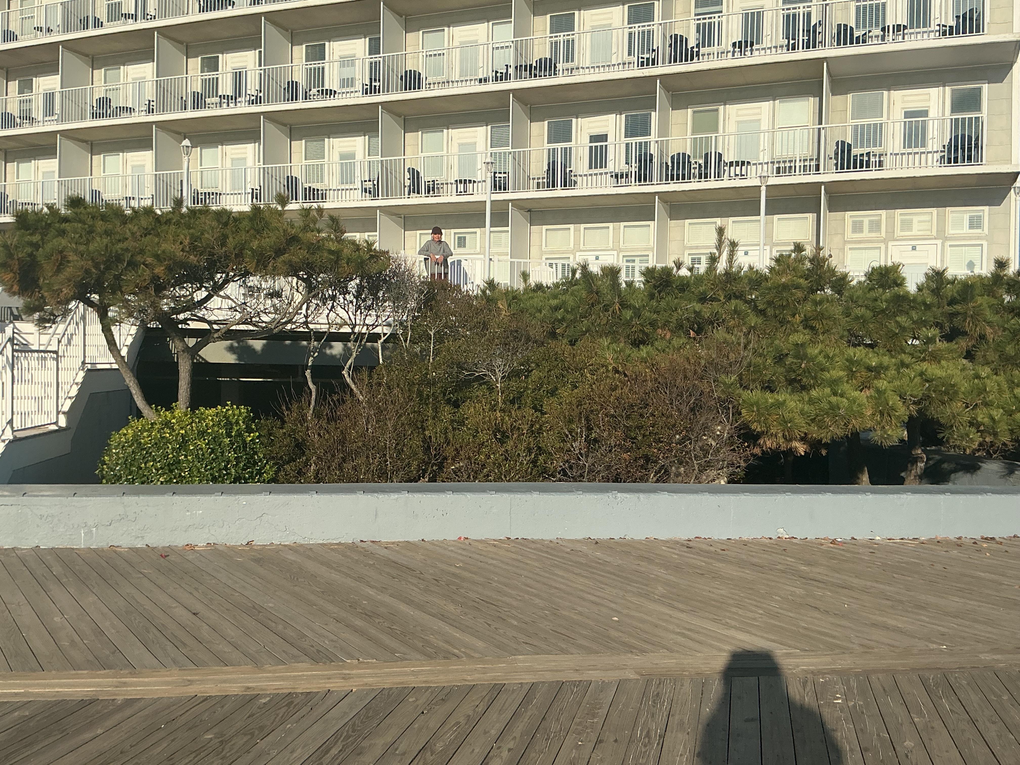 View from the boardwalk.