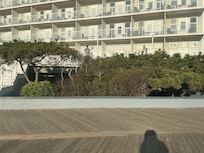 View from the boardwalk.