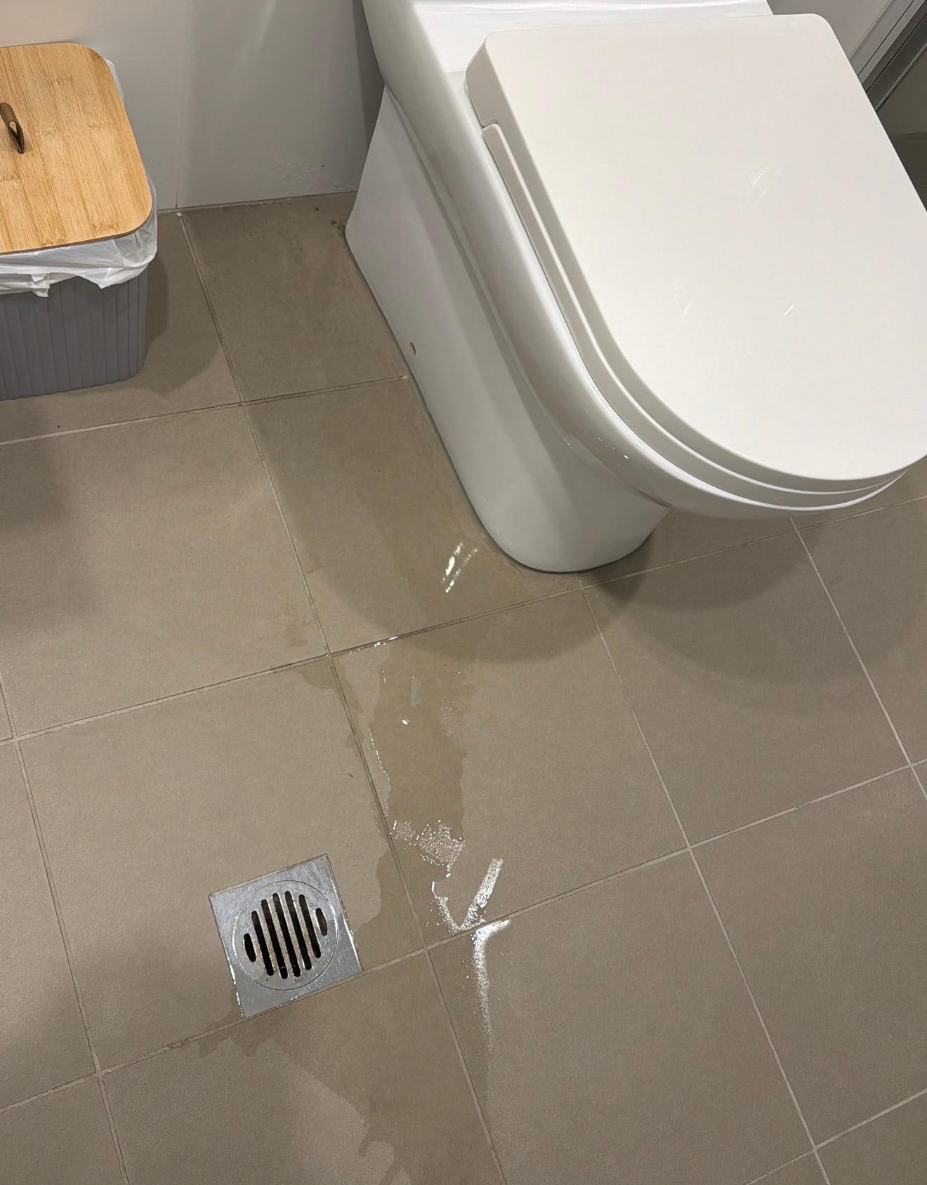 A leak that was somehow missed by the cleaners. 