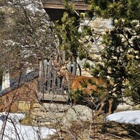 A quelques mĂštres du chalet