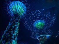 Bay Gardens night show