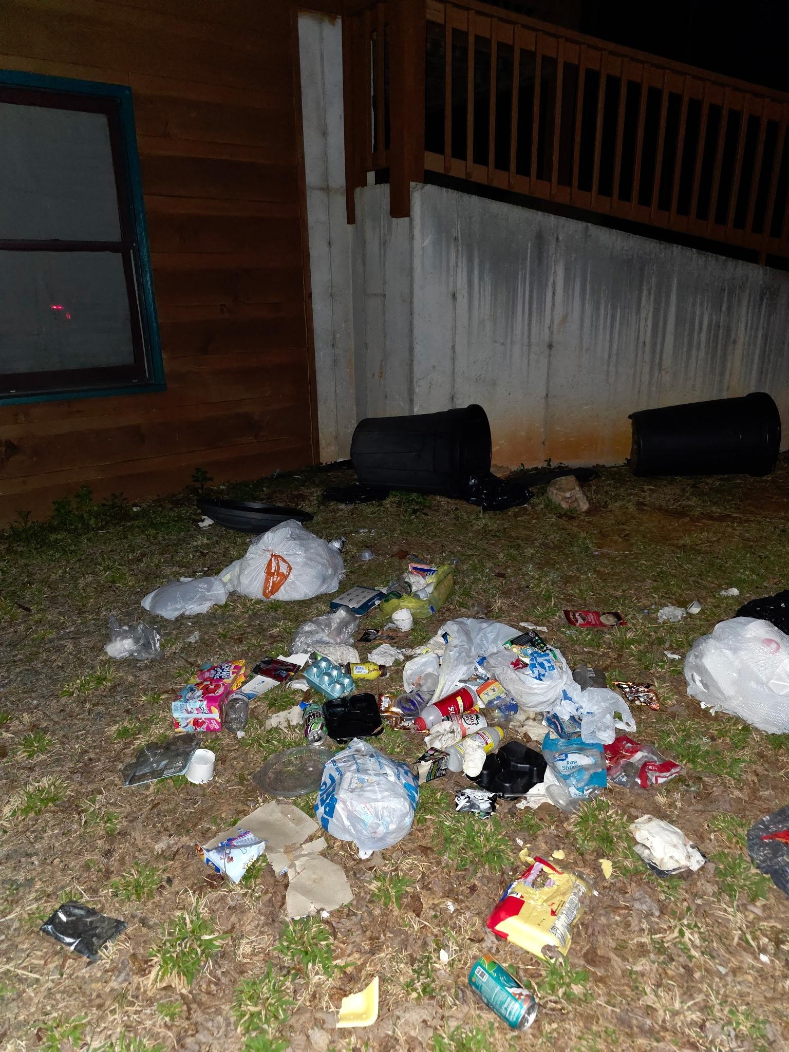 Trash left outside when we arrived that night