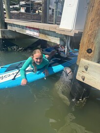 Manatees at Boats and Fun!!!