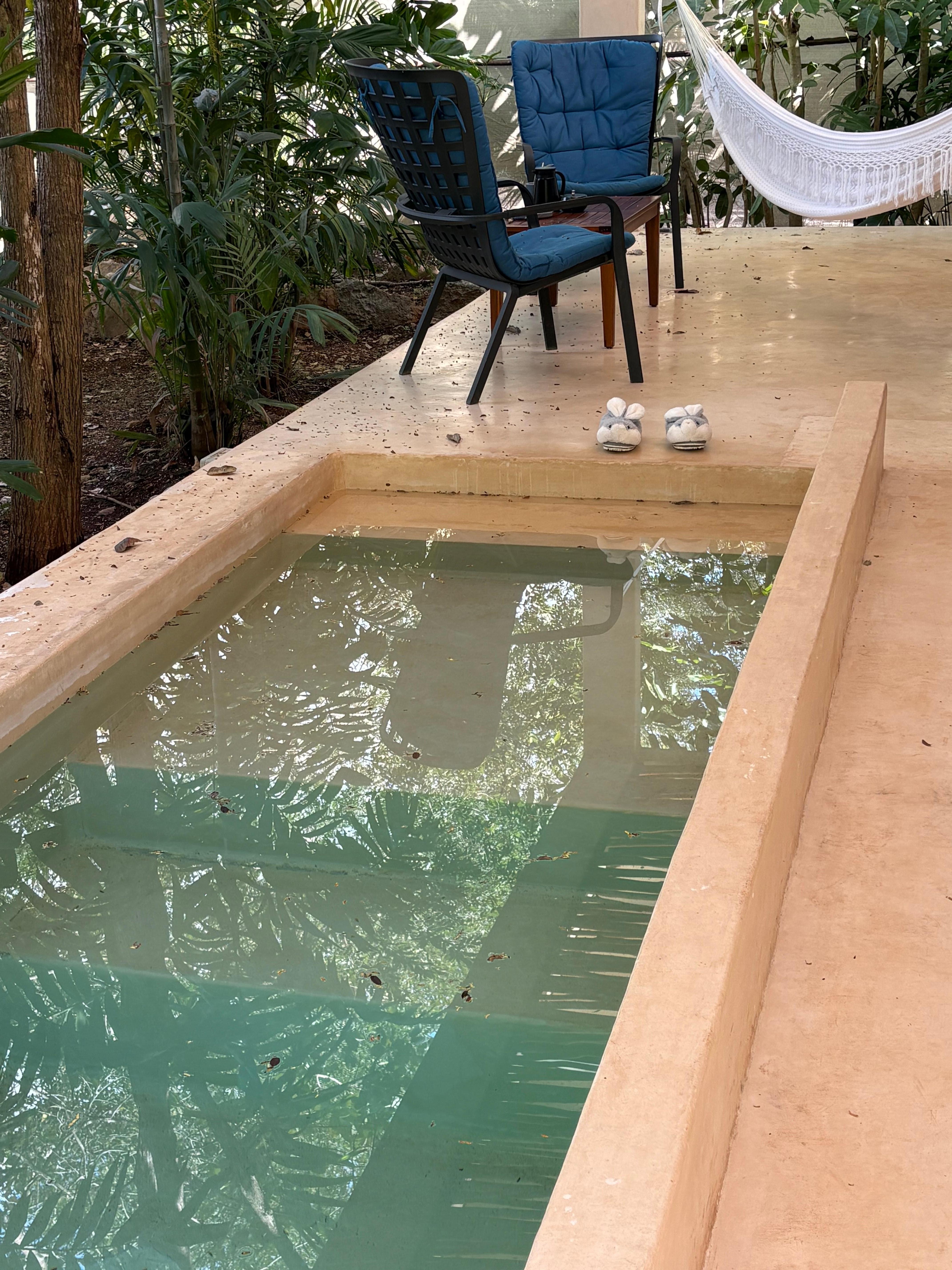 Suite pool and patio