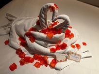 Celebrating a Birthday Welcome