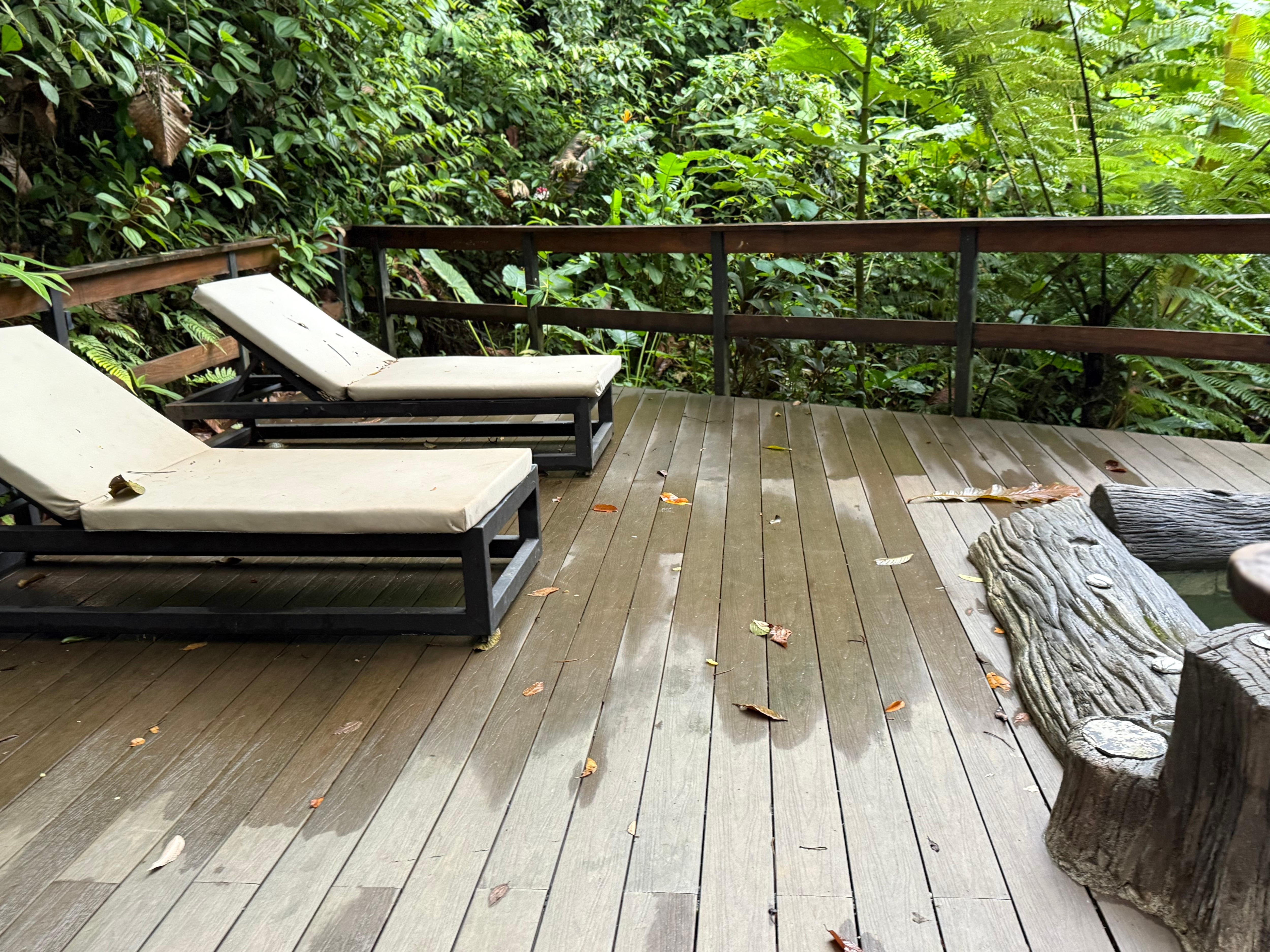 Treehouse bungalows 