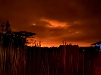 Photo from the road outside the house of the sky lit up by the volcano eruption.