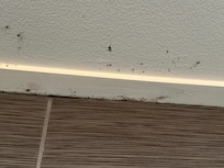 Front view of Riverside Condos. Condos covered by old warehouse roof.