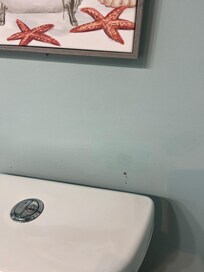 Blood stain on wall behind toilet