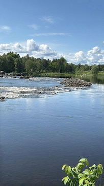 Utsikt från området